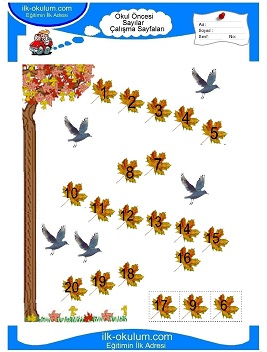 Çocuklar İçin Sayılar Çalışma Sayfaları 